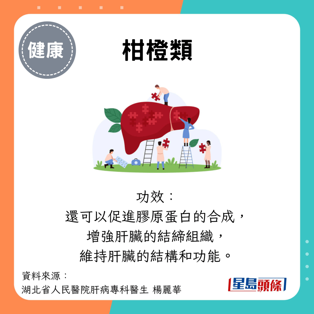 柑橙類：功效： 還可以促進膠原蛋白的合成， 增強肝臟的結締組織， 維持肝臟的結構和功能。