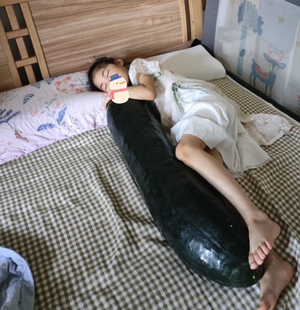 内地民间有人用抱冬瓜来帮助降温入眠。小红书＠华妹妹