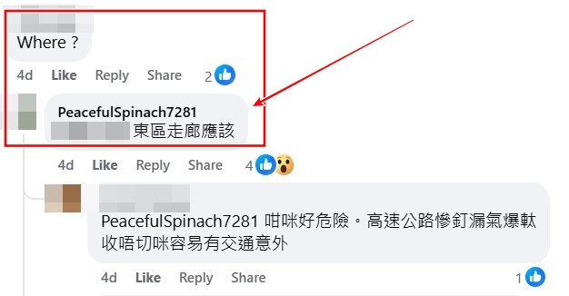 facebook截圖（資料來源：PeacefulSpinach7281＠facebook車cam L（香港群組））