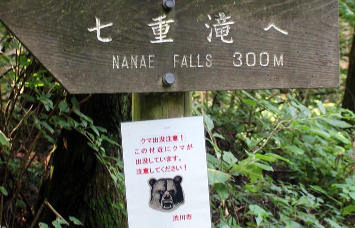 網圖
