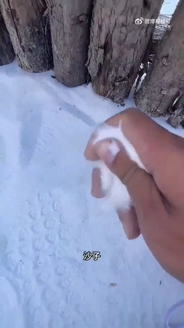 遊客發現景區內的「雪」其實是沙子。 遊客發現景區內的「雪」其實是沙子。