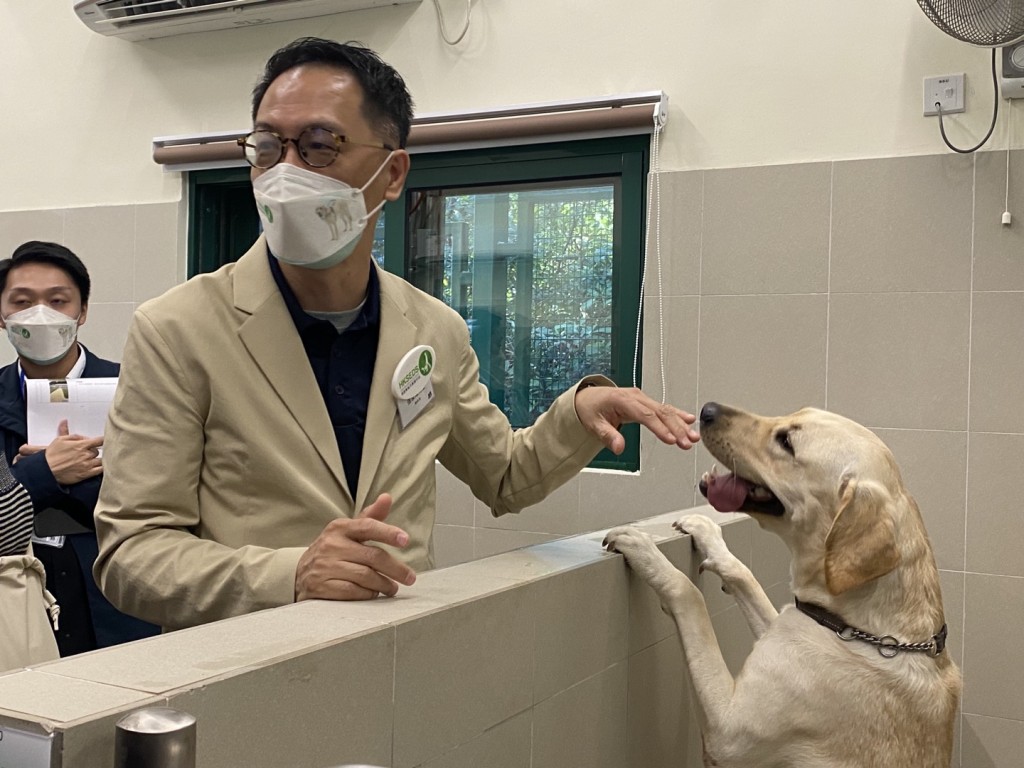 張家瑋說自己是導盲犬ICE的照顧者。
