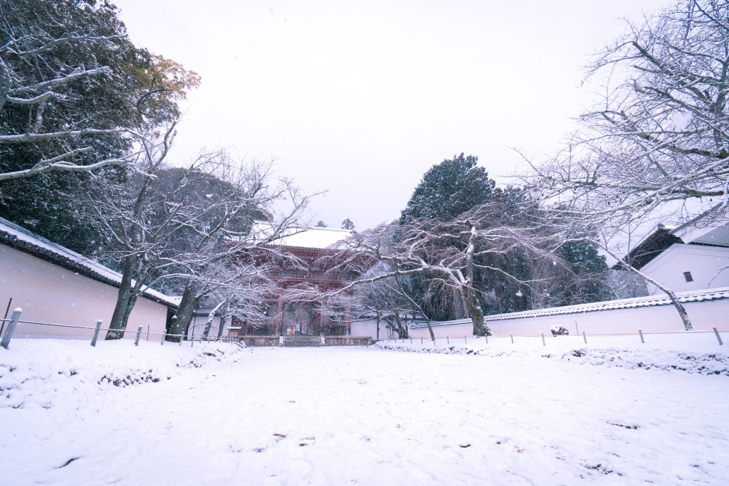 位於伏見區的醍醐寺。（X@nunquevadros）