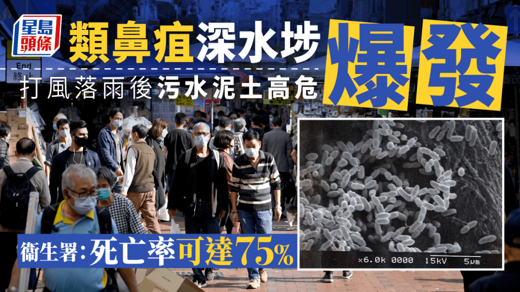 中心今年至今共錄得29宗人類感染類鼻疽個案,當中20宗居於深水埗區。資料圖片