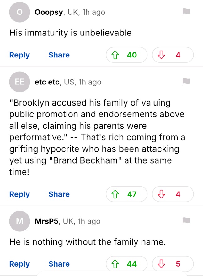 網民紛紛指責Brooklyn一邊罵父母只會做騷，卻一邊利用碧咸家族盛名牟利。