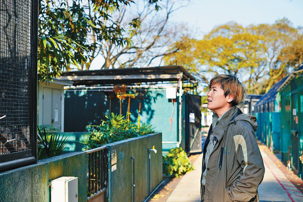 溫諾汶說，人類與野生動物最好的相處方式是互相尊重。