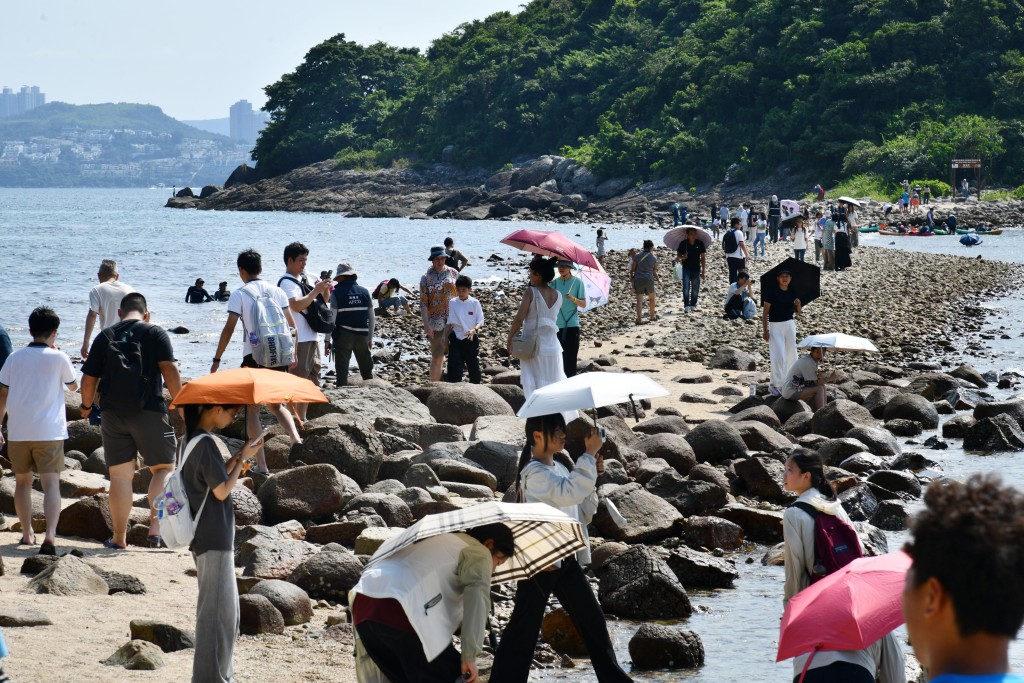 去年十一及今年五一均有大批遊人在西貢橋咀洲挖掘海螺、海膽、螃蟹等海岸生物，被指破壞海洋生態。