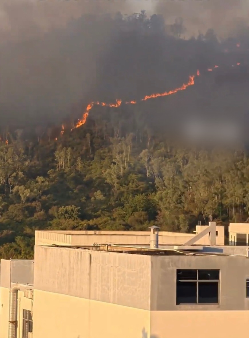 珠三角地區天氣極為乾燥,深圳坪山區突發山火。 珠三角地區天氣極為乾燥,深圳坪山區突發山火。