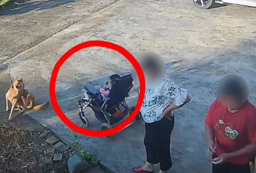 廣東大媽與人聊天時，未留意嬰兒車隨斜坡滑向魚塘。抖音