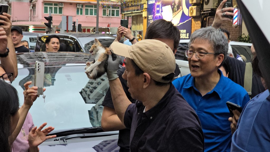小猫最终获救。香港猫店长关注组FB群组