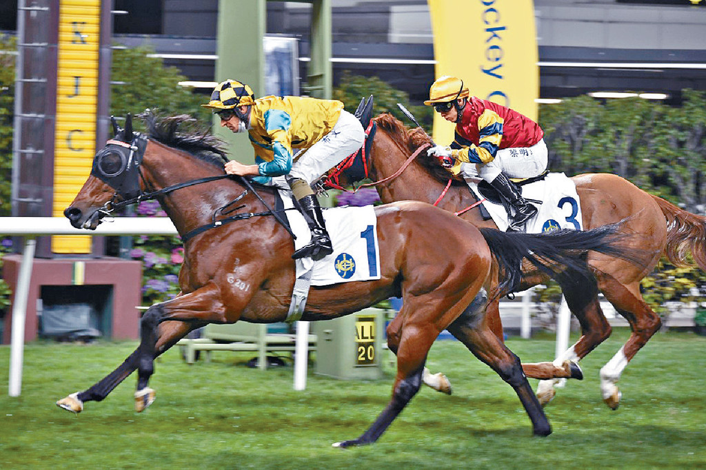 ■昨晚憑「鑽飾翱翔」食頭胡的姚本輝，最終更成為練馬師王。