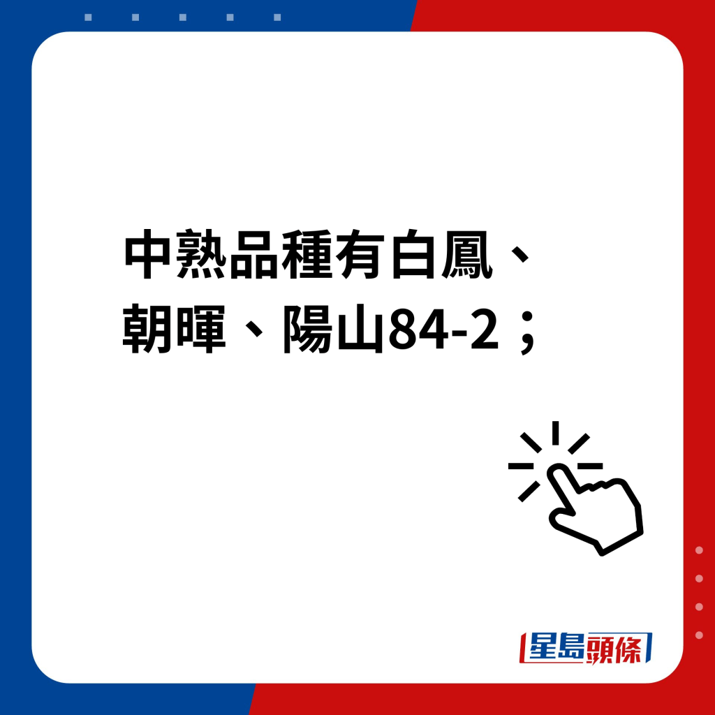 阳山水蜜桃｜中熟品种有白凤、朝晖、阳山84-2；