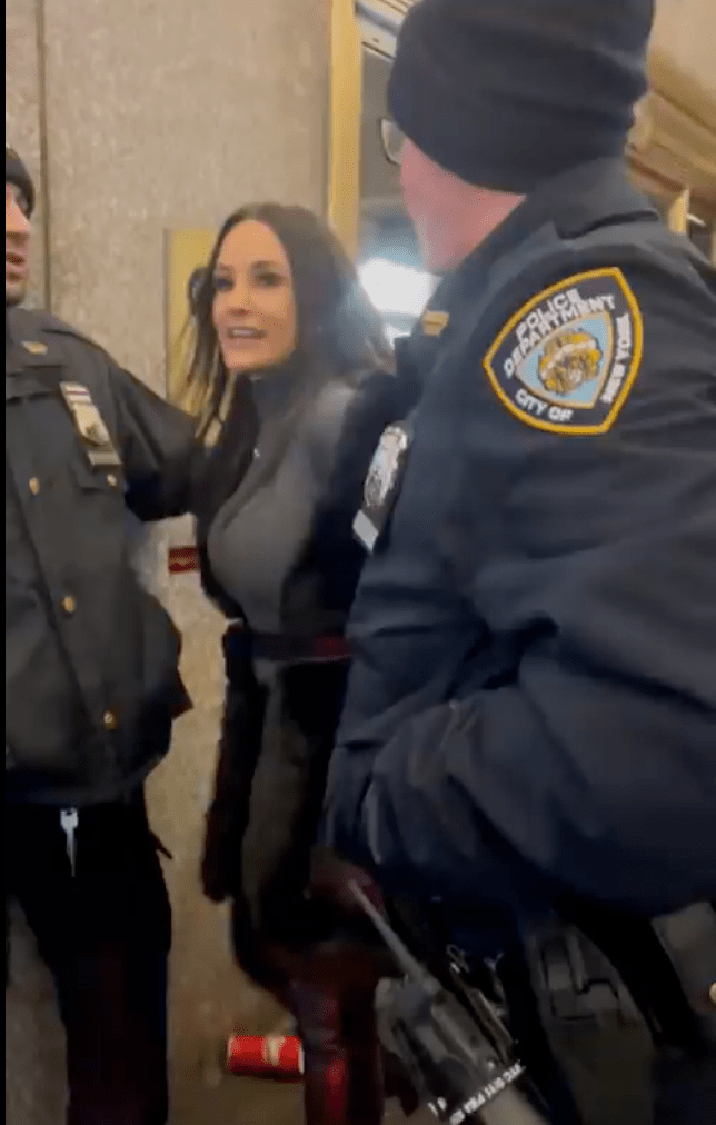 美國前AV女優麗莎（Lisa Ann Corpora）周日在紐約看脫口騷時，因被指使用了手機，被4名警察用手銬拖出劇院，事件引起爭議。
