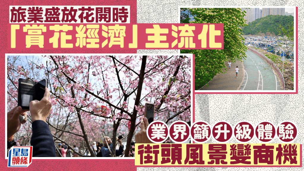 每逢花季，就會引起賞花熱潮，不少市民爭相拍照。