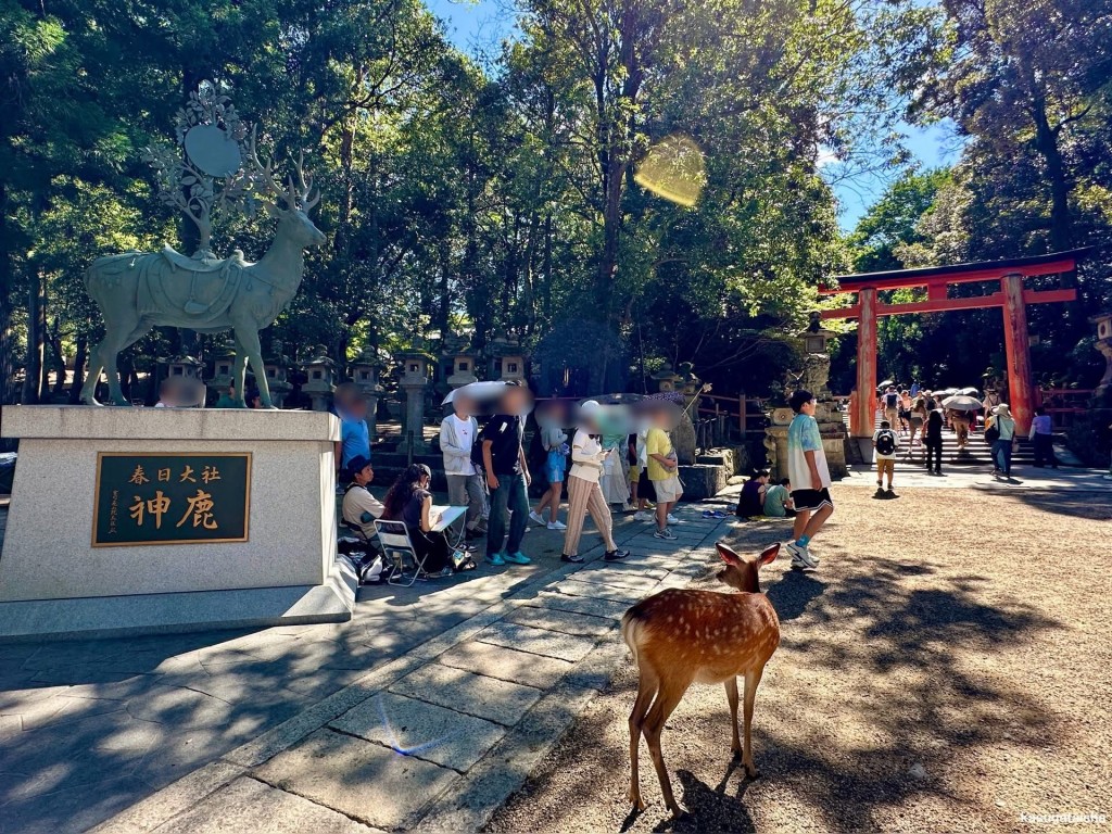 奈良春日大社。 官方facebook