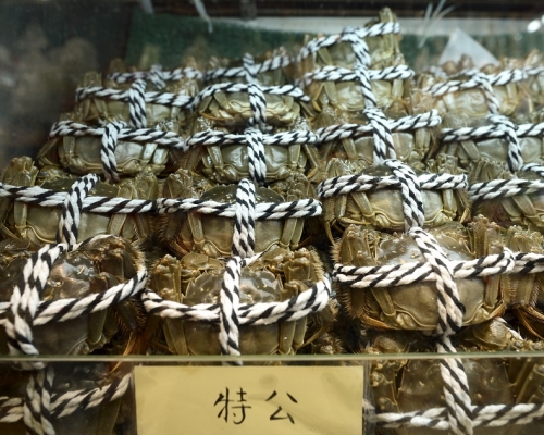 177個大閘蟹樣本合格。資料圖片