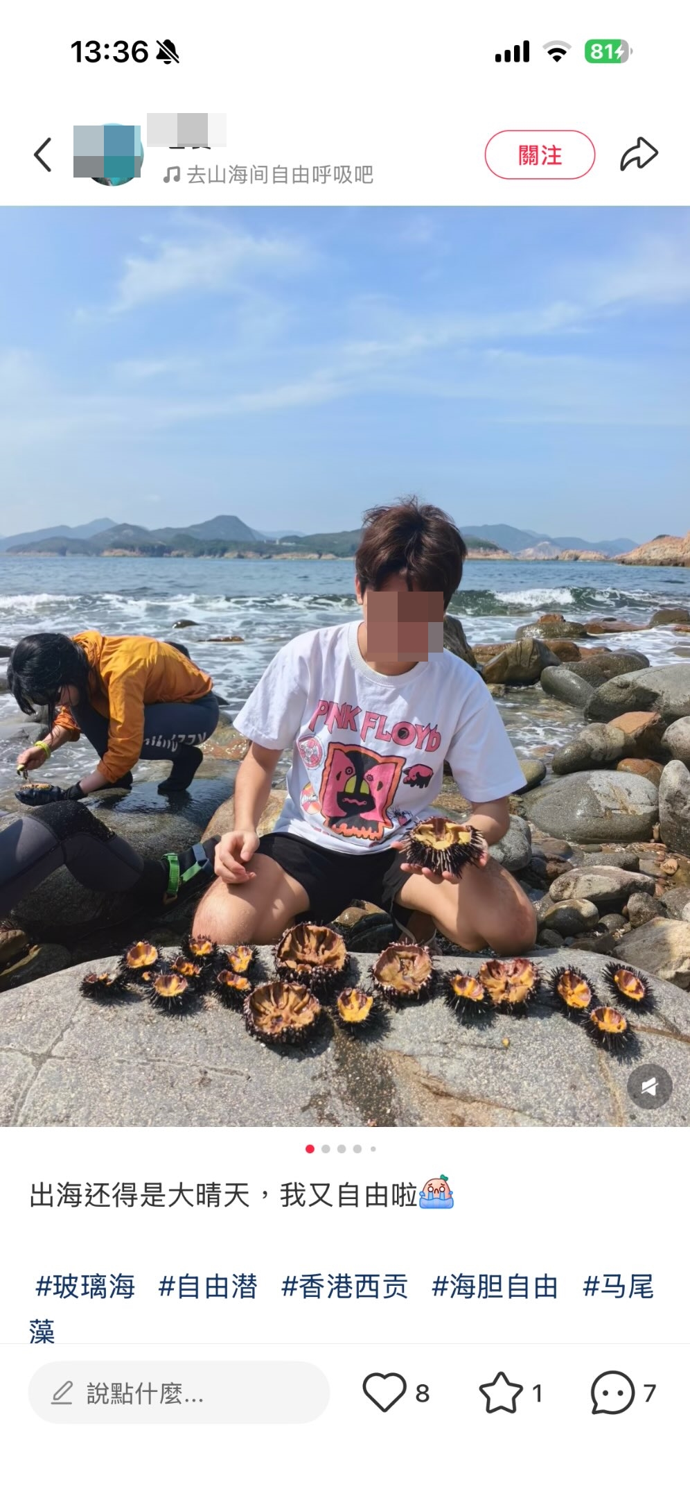 有內地客疑在西貢火石洲附近海域浮潛捕獲海膽。Threads網上圖片