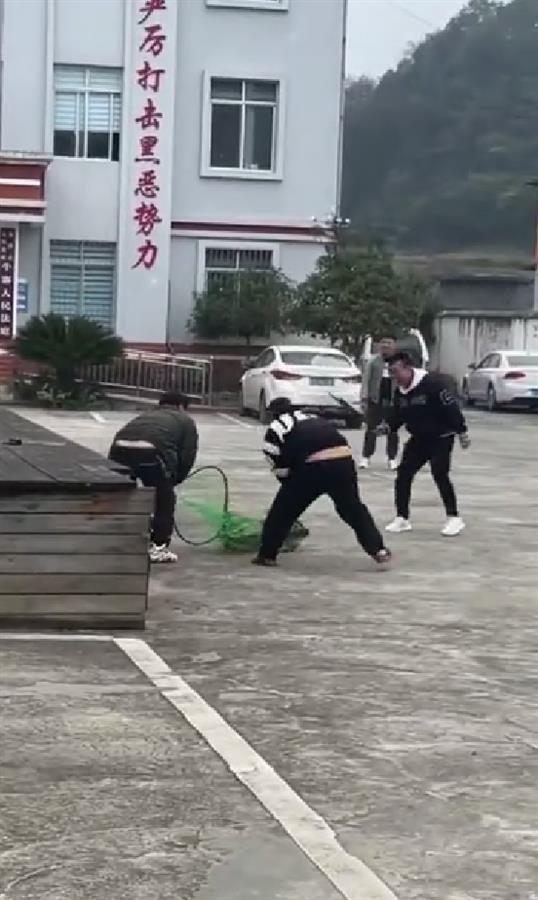 狗發出嘶嚎聲後沒了動靜。網圖