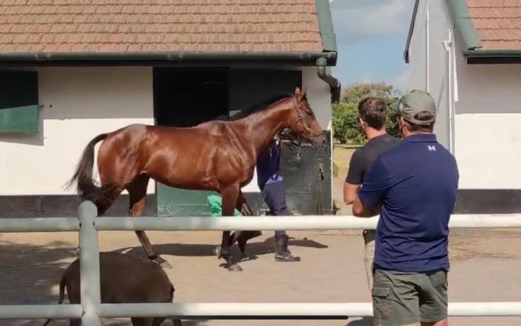 富志昌對「再度遇見」(圖) 今仗贏馬信心高達九分。