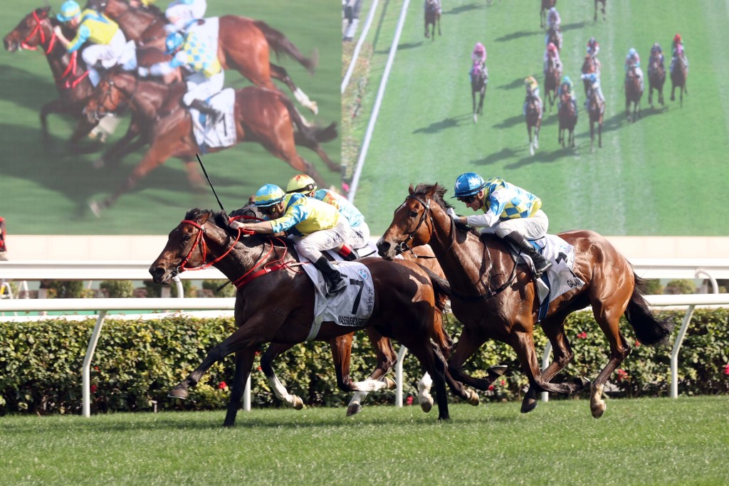 「錶之銀河」(外)於寶馬香港打吡大賽末段後上如箭，最終僅不敵頭馬「大至尊」而跑獲亞軍。