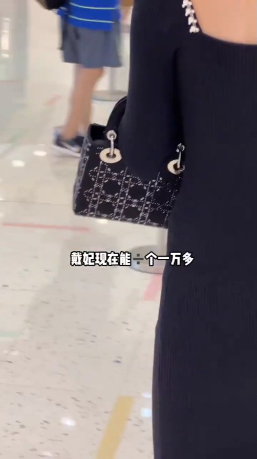 1）Christian Dior Lady Bag