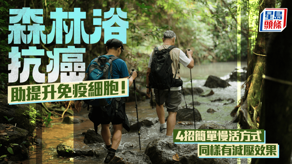 森林浴抗癌助提升免疫細胞！4招簡單慢活方式 同樣有減壓效果