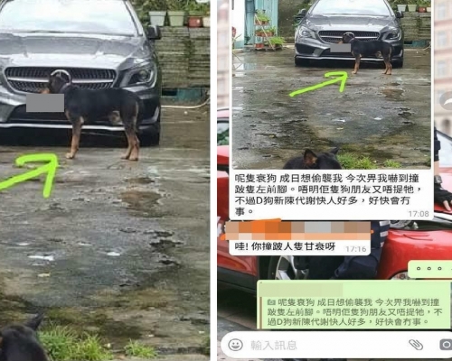 網上流傳的WhatsApp對話截圖。將軍澳Facebook群組
