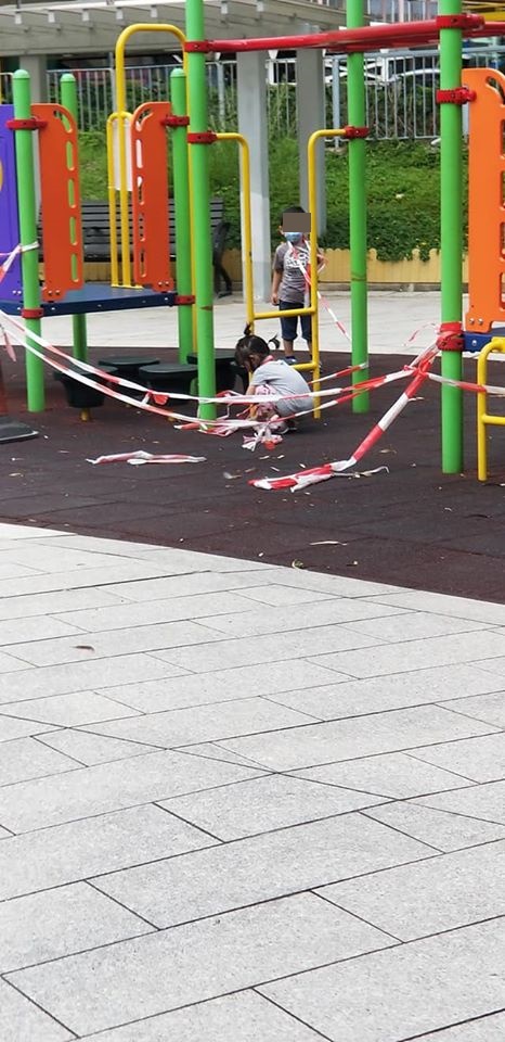 網民Carol Lee 圖片