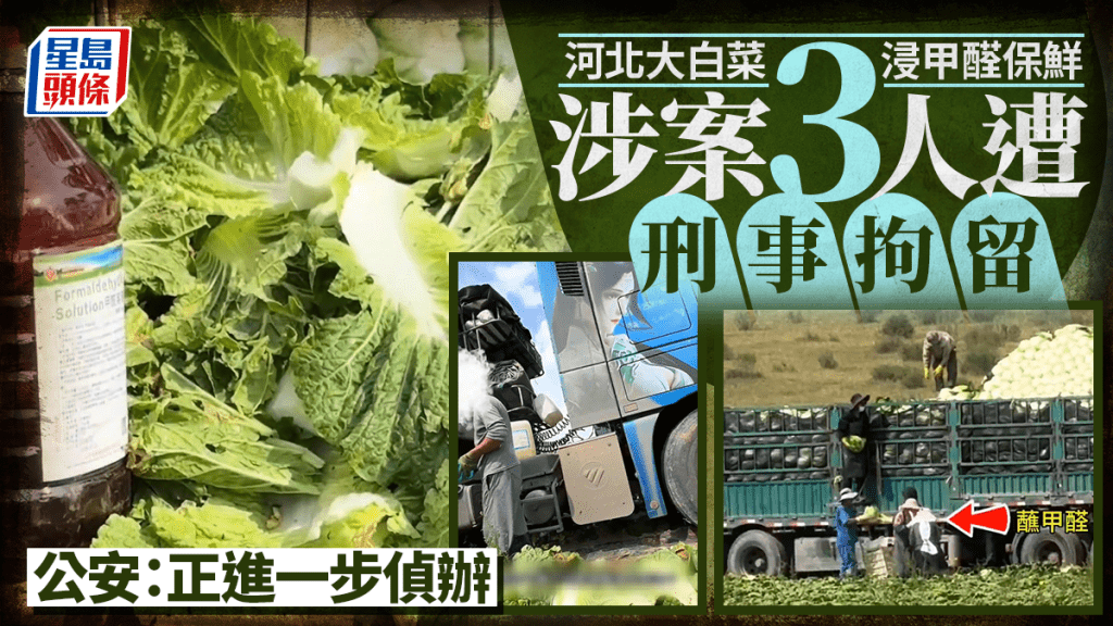 甲醛白菜｜涉案3人遭刑事拘留  公安：已立案 正進一步偵辦