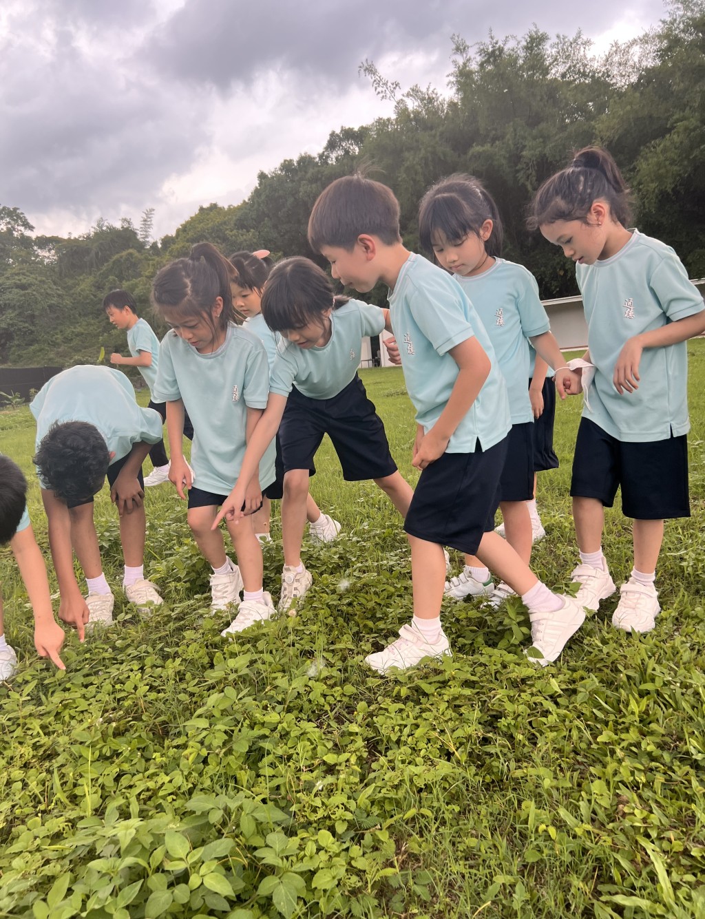 （圖片來源：通德學校）