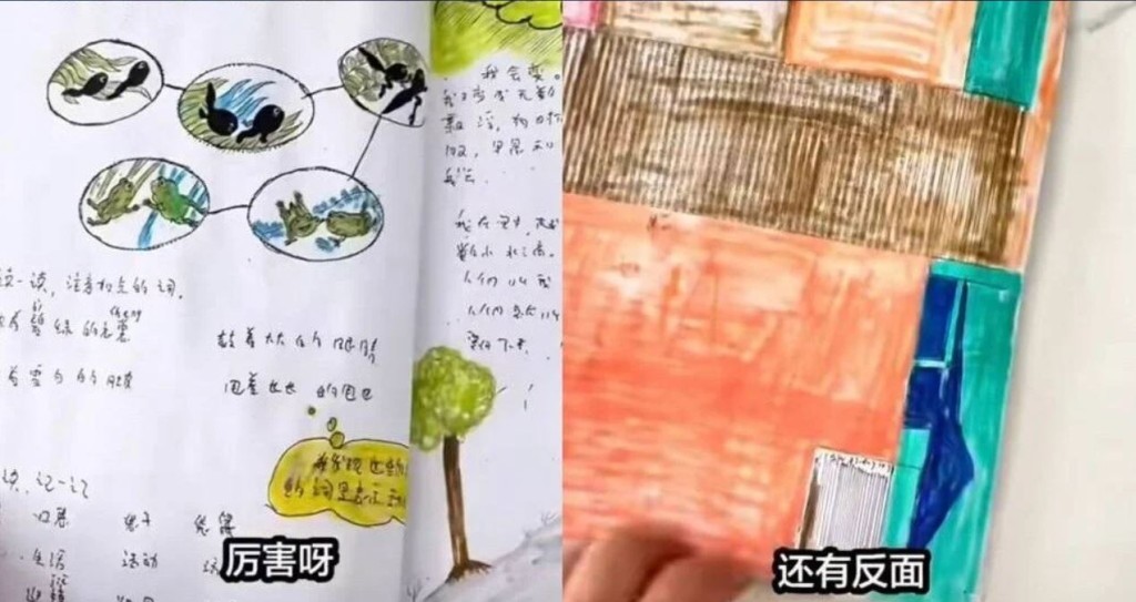 博哥纯手工复刻语文课本，技惊网络。抖音