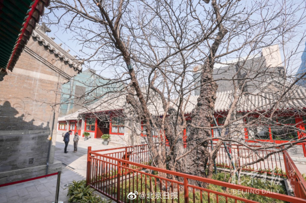蒙藏學校是中國共產黨歷史上第一個由少數民族黨員組成的黨支部。 北京日報
