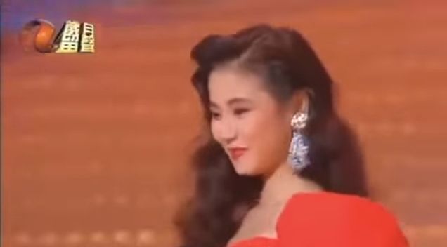 1989年参选亚洲小姐夺得亚军。