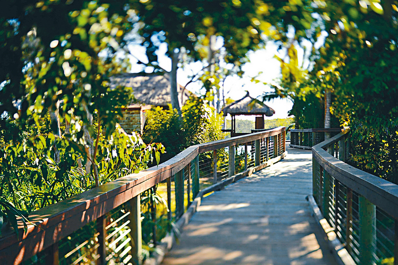 ●度假村設計與自然融合，到處都是林蔭步道。