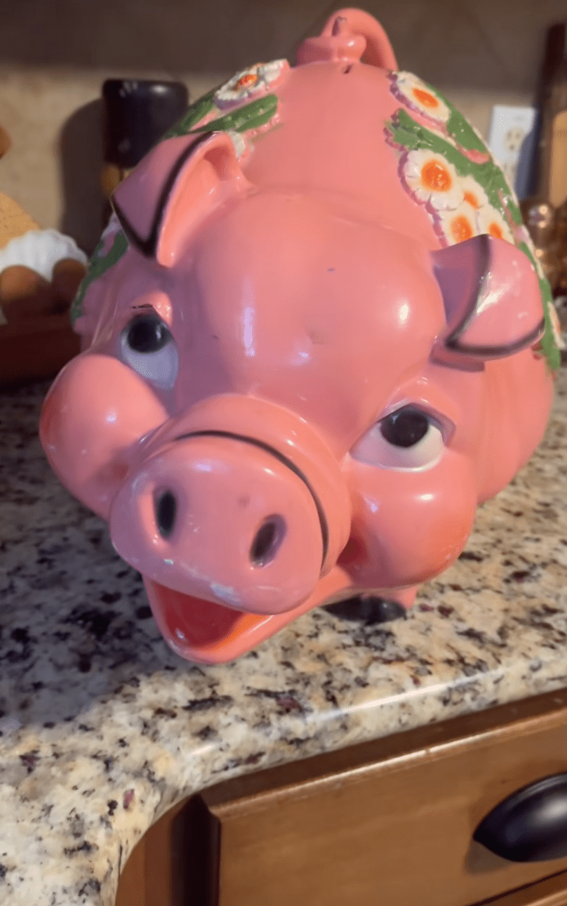 卡翠娜,當日她在當地一間Goodwill商店,以10.99美元(約86港元)買下一個被多人形容為「醜得嚇人」的復古粉紅豬錢罌。 卡翠娜,當日她在當地一間Goodwill商店,以10.99美元(約86港元)買下一個被多人形容為「醜得嚇人」的復古粉紅豬錢罌。