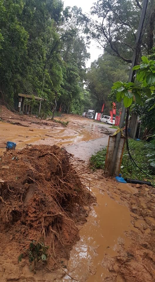 網民Samanthe Kam圖片。