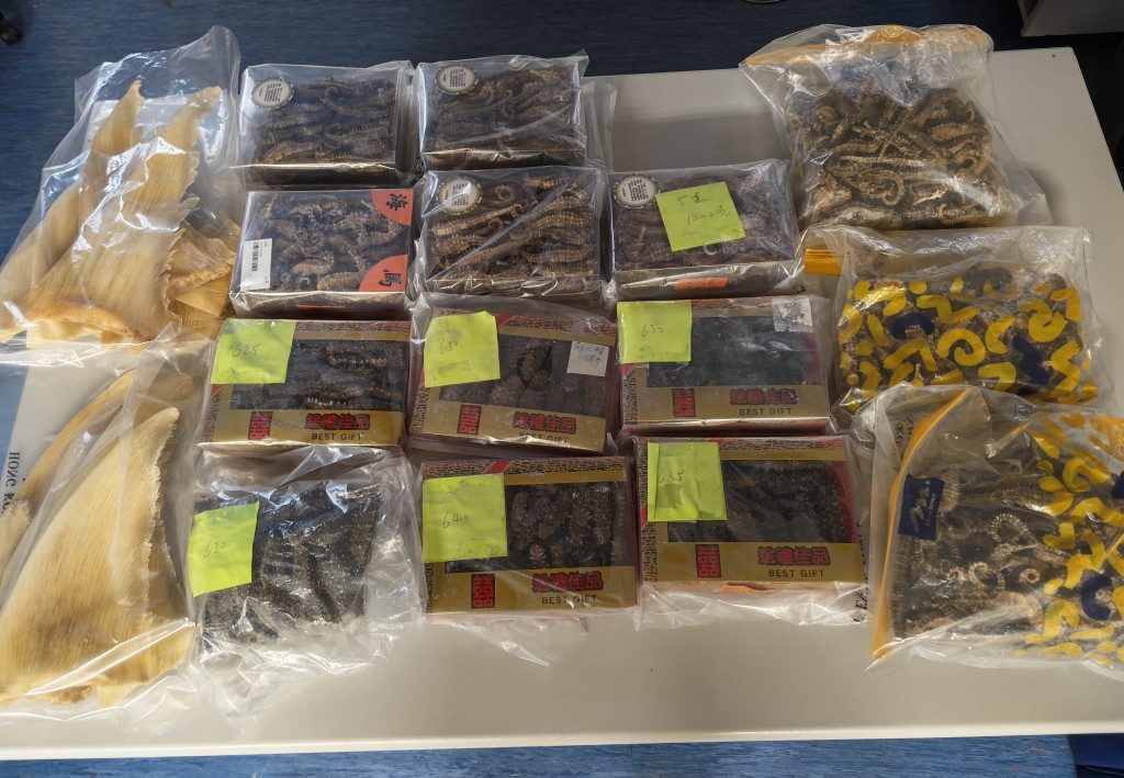 警方成功起回大部分蔘茸海味。警方提供 警方成功起回大部分蔘茸海味。警方提供