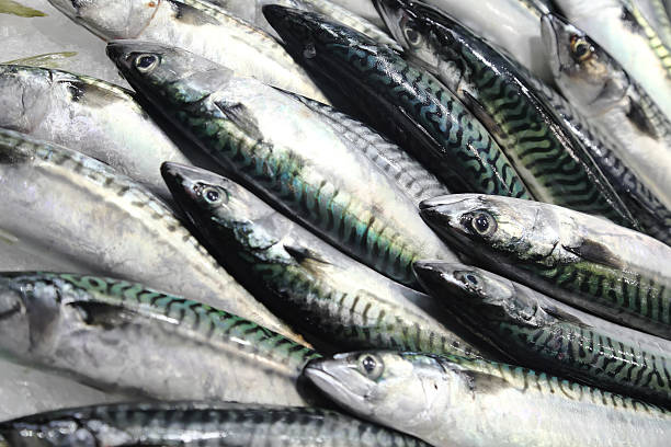 若鱼类的保鲜工作不足，腐败后会产生组织胺，人们进食后会出现过敏症状。