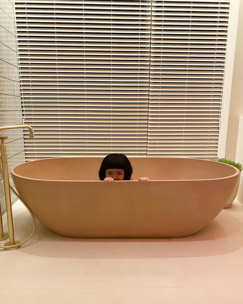 探頭偷望。