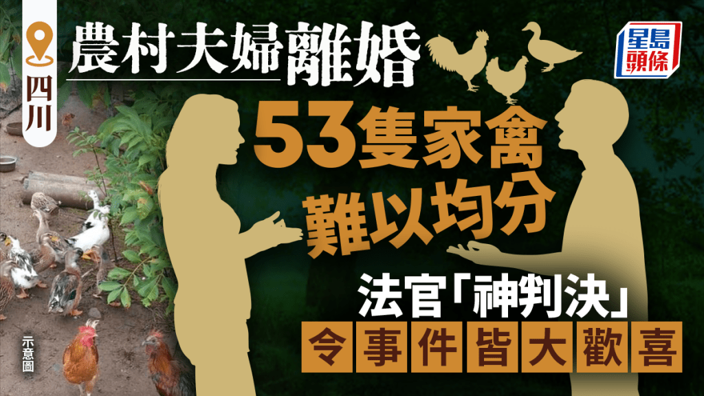 四川夫妻離婚53隻家禽難分難解  法官一個神宣判搞掂