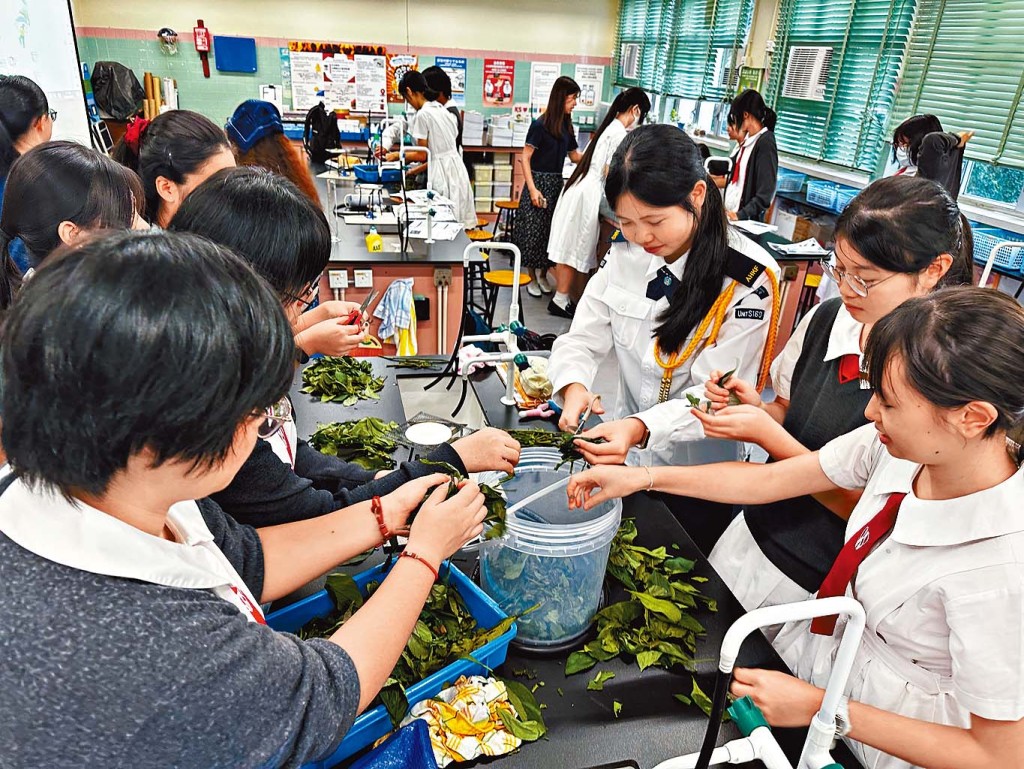 學生需要從植物萃取天然染料用來染布，這些體驗加深她們對大自然資源的了解。