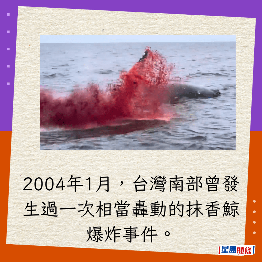 2004年1月，台灣南部曾發生過一次相當轟動的抹香鯨爆炸事件。