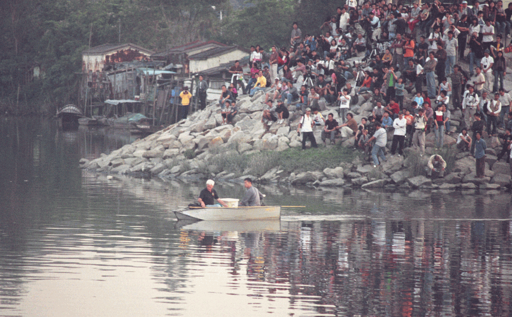 2003年山貝河出現小灣鱷，哄動一時。資料圖片