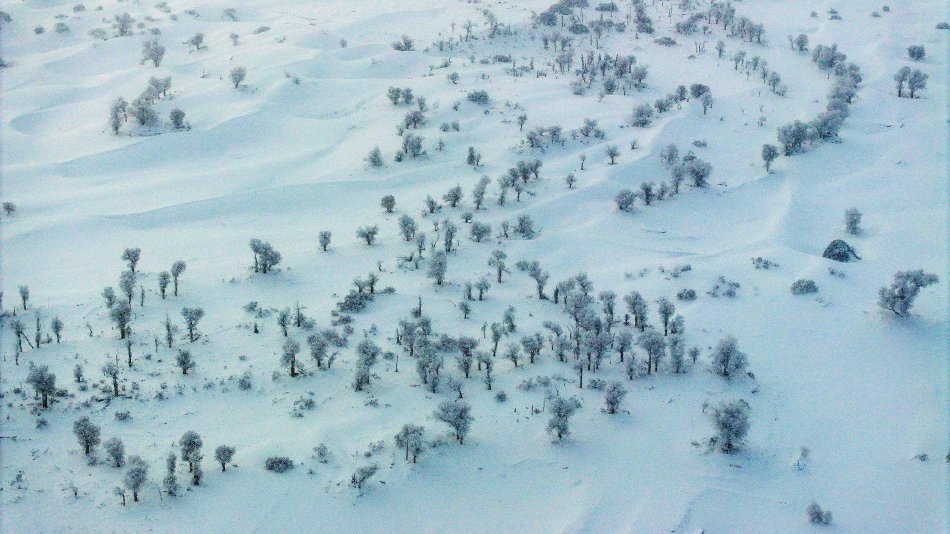 新疆塔克拉瑪干沙漠現「雪海」奇景。（微博）