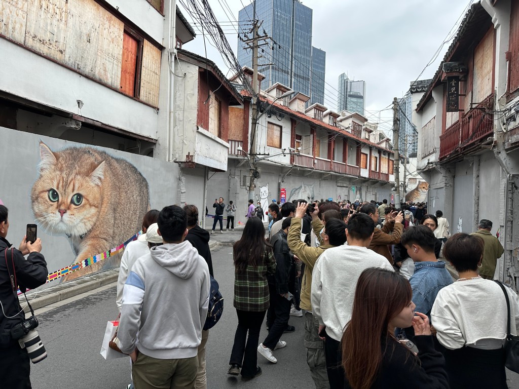 「猫街」吸引大量民众到来打卡。(微博)