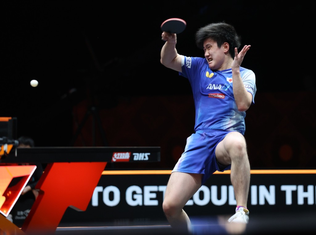 徐嘉華攝 徐嘉華攝