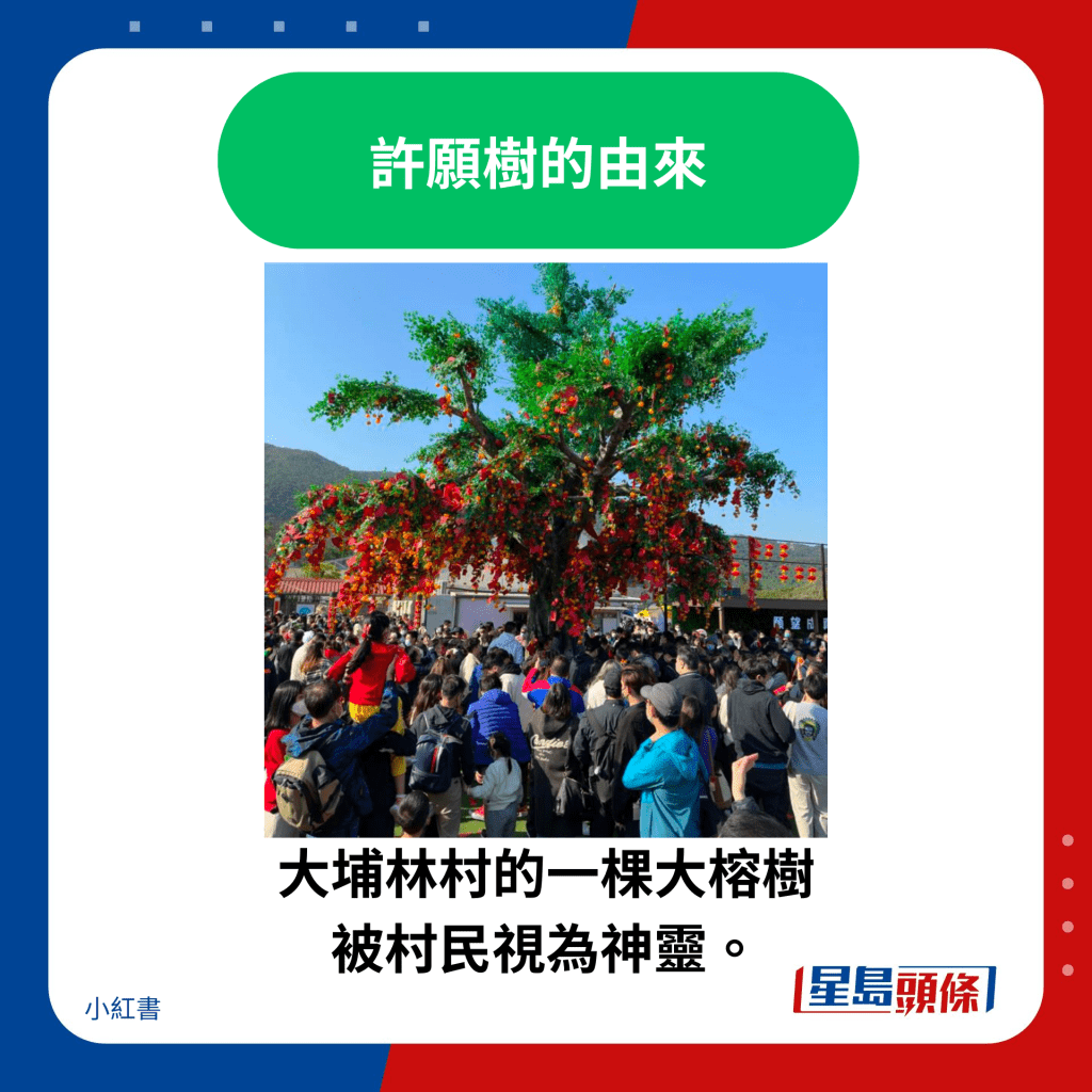 大埔林村的一棵大榕樹 被村民視為神靈。