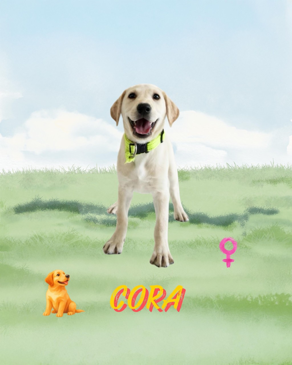 9隻搜查犬BB命名為Eager、Xavi、Cora、Equo、Lumi、Sika、Ivar、 Orli、Rissa。香港海關fb圖片 9隻搜查犬BB命名為Eager、Xavi、Cora、Equo、Lumi、Sika、Ivar、 Orli、Rissa。香港海關fb圖片