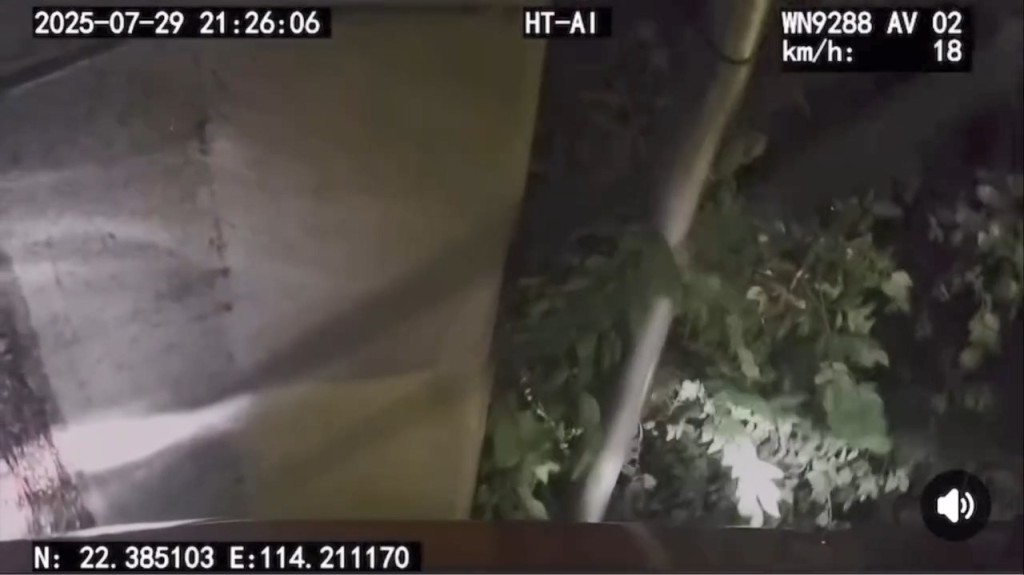車內的乘客發生意外後未有尖叫,反而第一時間關心司機的情況。網上片段截圖 車內的乘客發生意外後未有尖叫,反而第一時間關心司機的情況。網上片段截圖