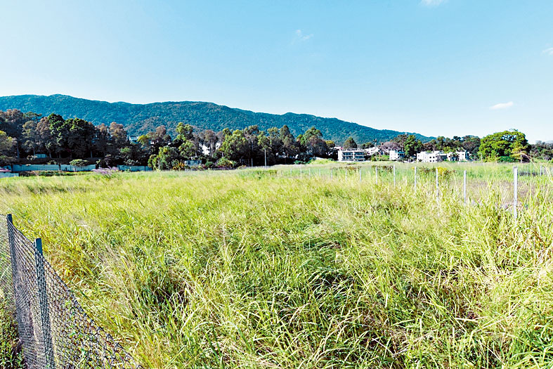 黃光耀指，準備在未來三至六個月，再向政府提交土地共享申請。（圖為大埔林村項目一帶）